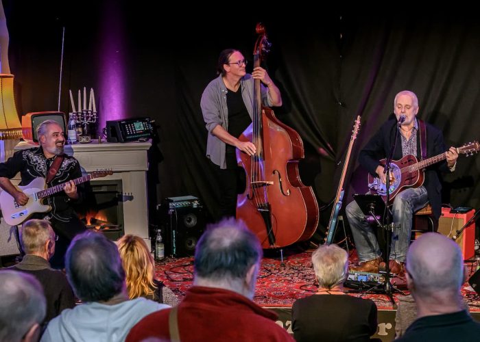 Blues Trio Live