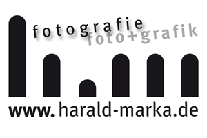 harald Banner